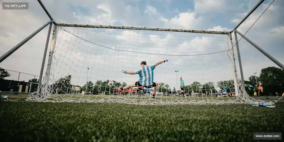 im电竞在这里，每一份努力都值得被看见👀